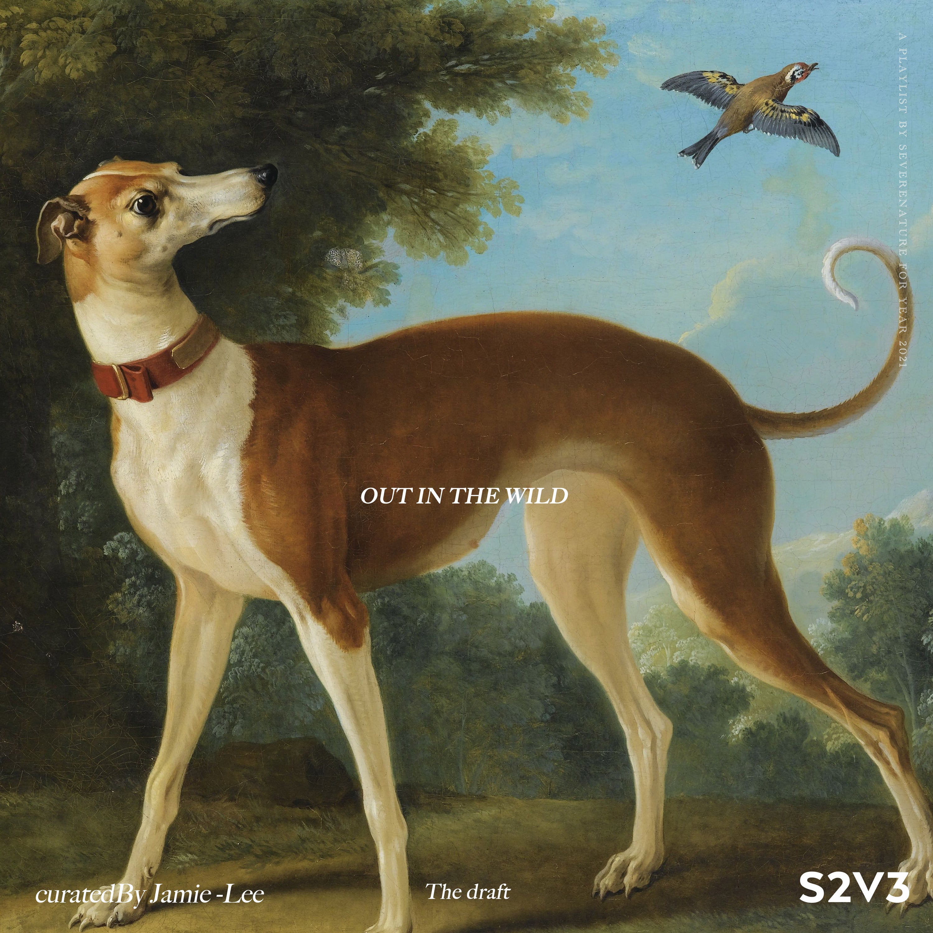 Out In The Wild: The Draft Vol. 3 Curated by Jamie-Lee