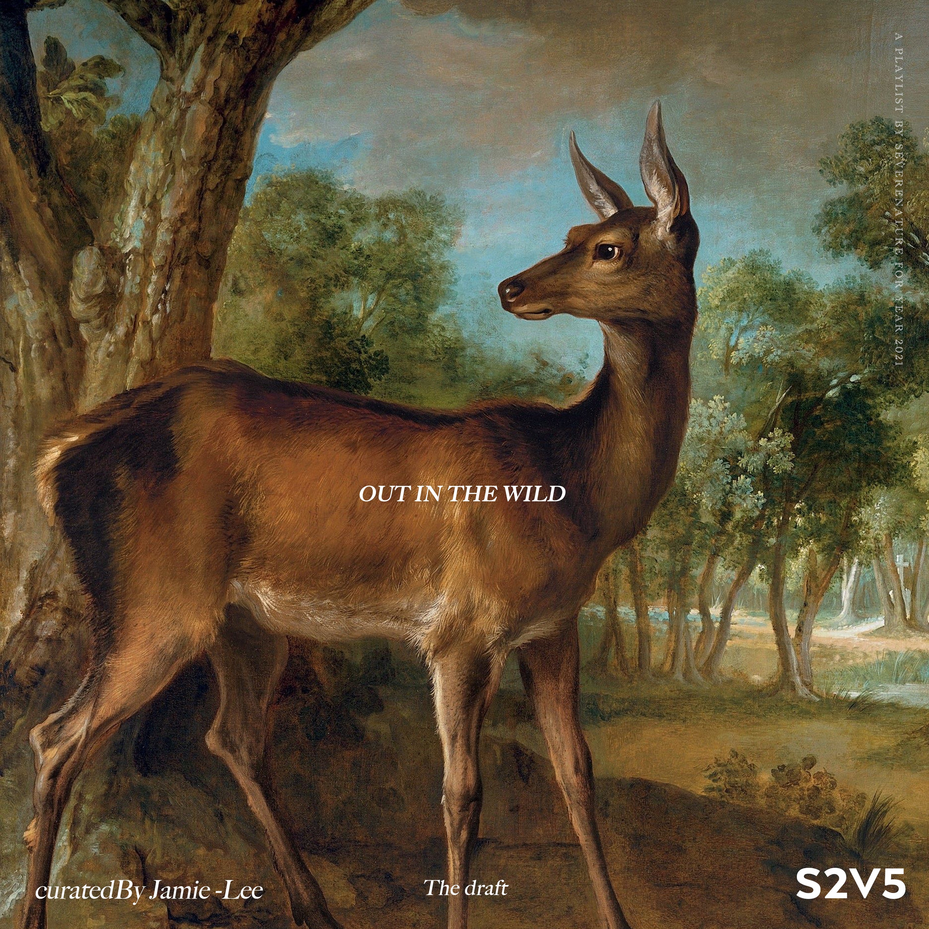 Out In The Wild: The Draft Vol. 5 Curated by Jamie-Lee