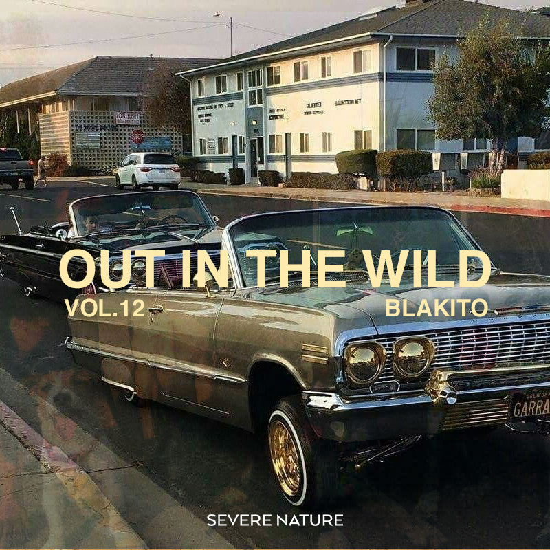 Out in The Wild Vol.12 Curated by Blakito