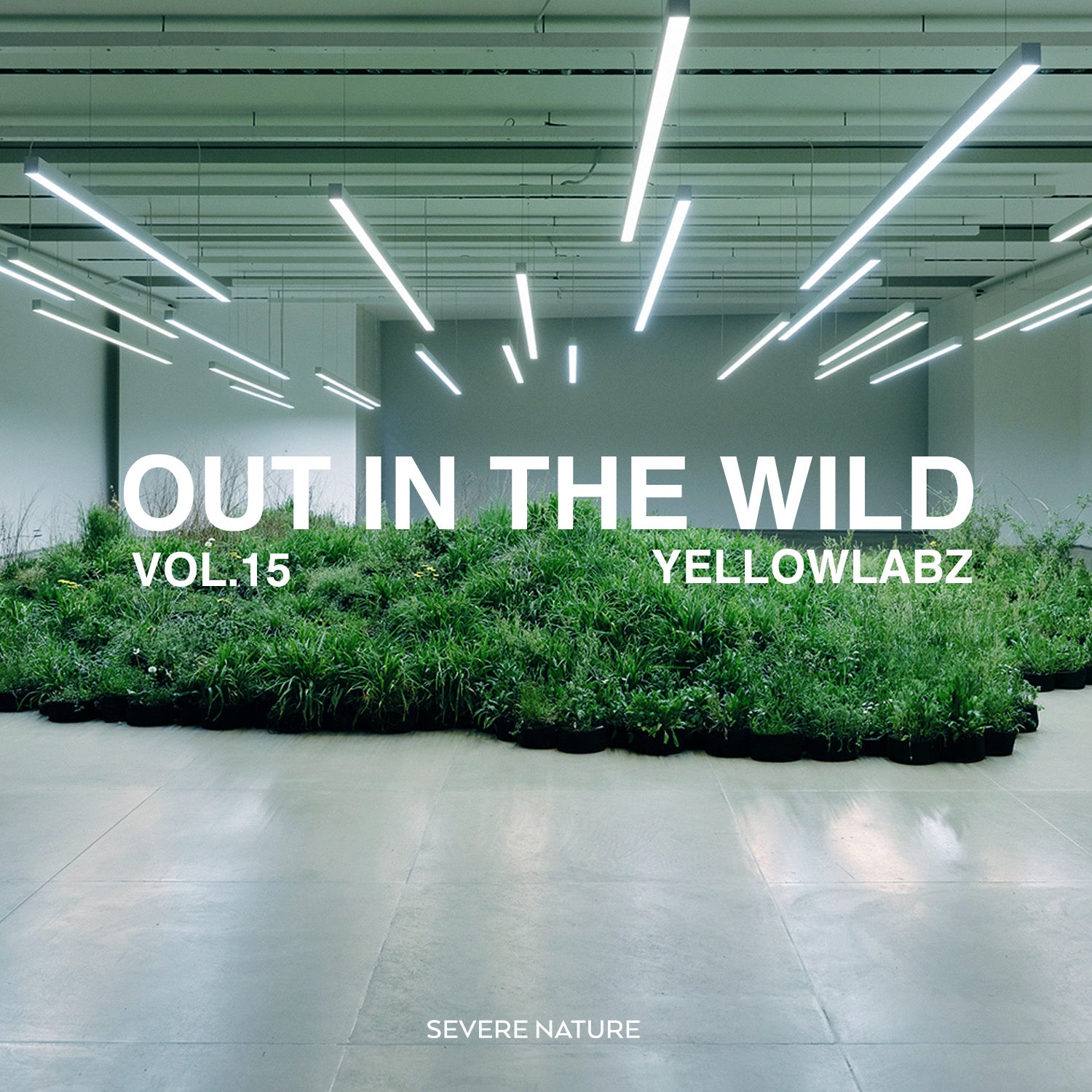 Out In the Wild Vol. 15 Curated by Yellowlabz