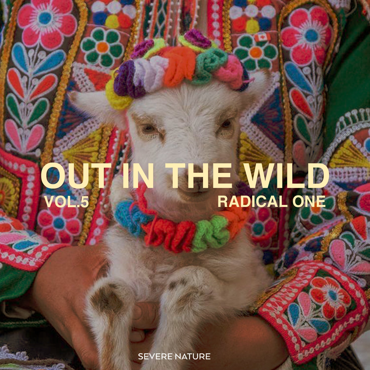 Out In The Wild Vol. 5 Curated by Radical One