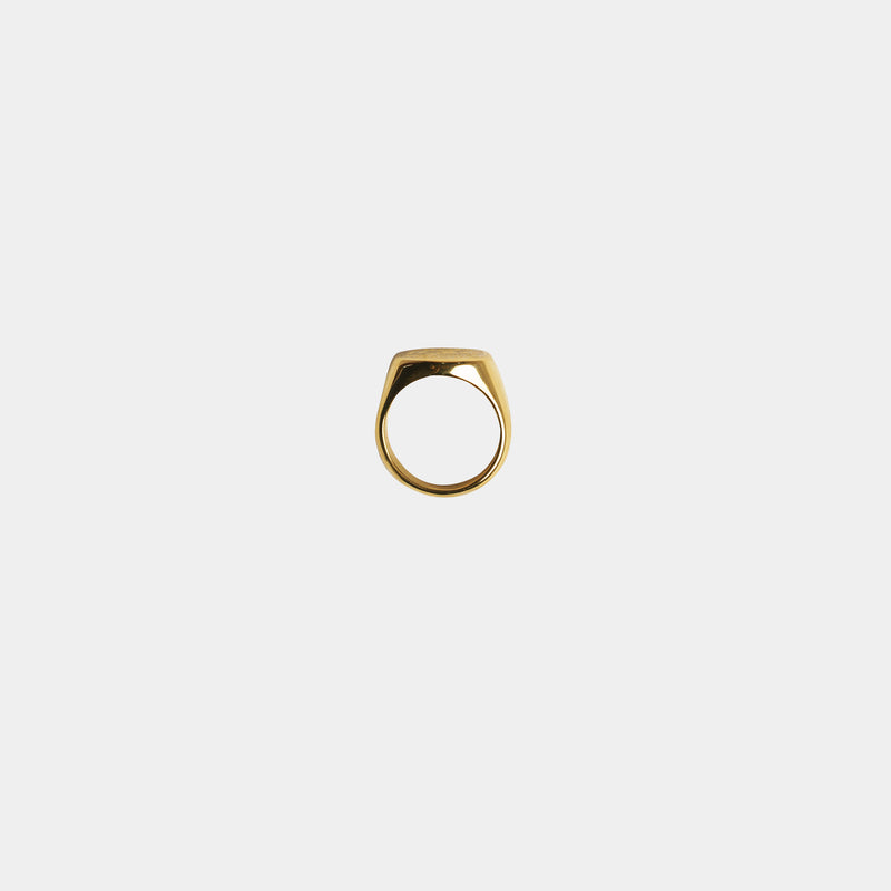 Severenature x Hennessy Signet ring