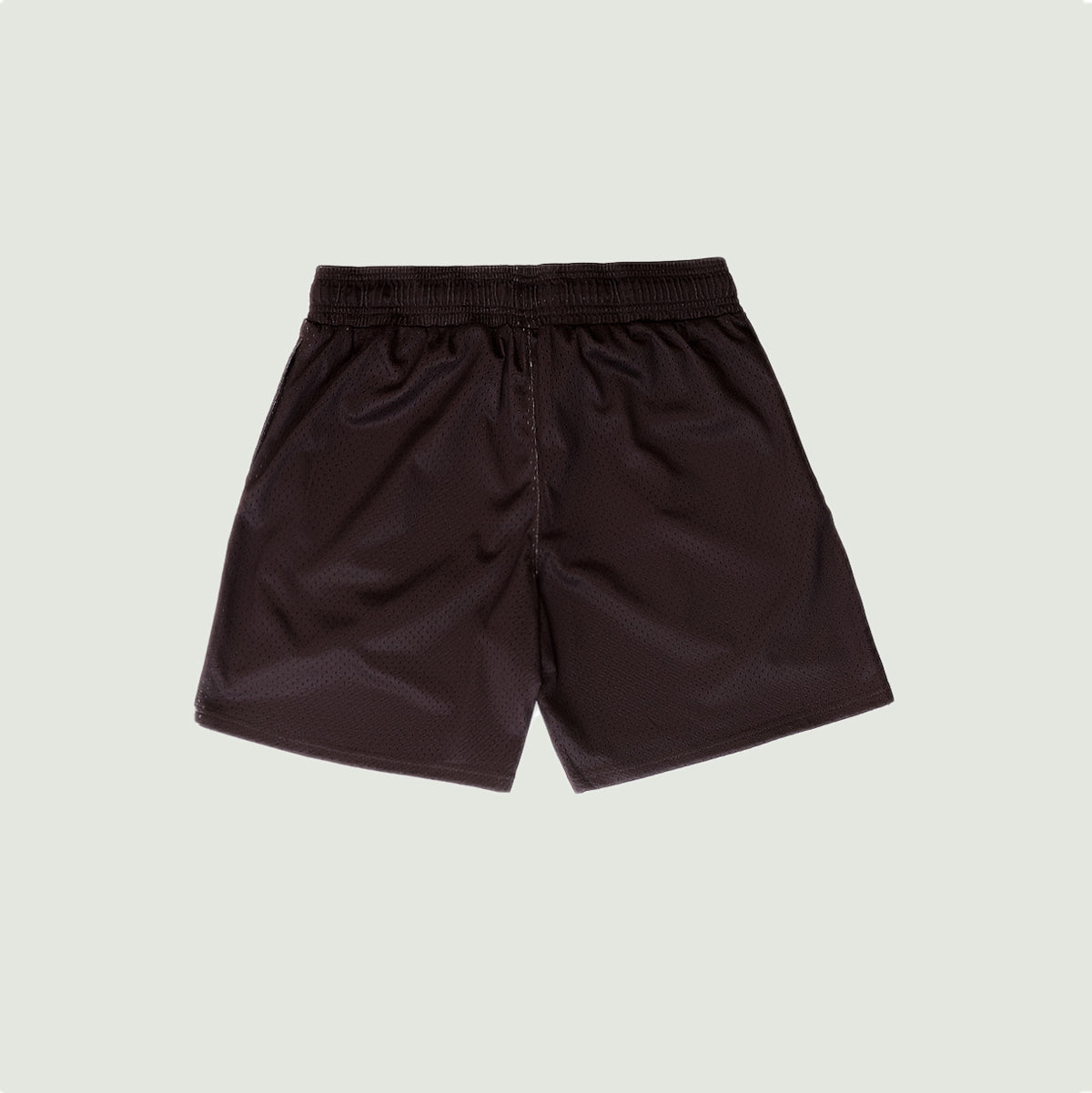 BROWN SN MESH SHORT
